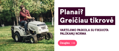 Nuotolinės paslaugos